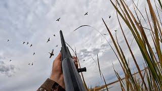 UNFORGETTABLE Public Marsh Duck Hunt - MASSIVE GROUPS (Day 3)