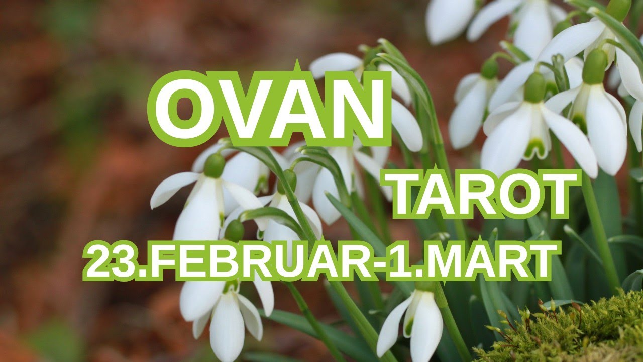 OVAN ♈ SUDBINA vas gura NAPRED ❤️ 23.FEBRUAR-1.MART TAROT 