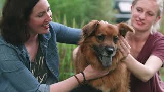 More Than an Animal Shelter: 2025 Cleveland APL PSA