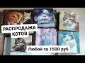 ГРАНДИОЗНАЯ РАСПРОДАЖА КОТОВ. Любой за 1500 руб