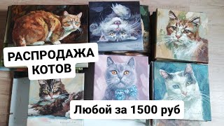 ГРАНДИОЗНАЯ РАСПРОДАЖА КОТОВ. Любой за 1500 руб