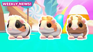 Guinea Pigs? Weekly News Adopt Me On Roblox