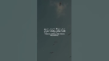 وَلَا تَقُولُوا لِمَا تَصِفُ أَلْسِنَتُكُمُ الْكَذِبَ هَذَا حَلَالٌ وَهَذَا حَرَامٌ القارئ-فارس عباد