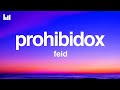 Feid Prohibidox Letra Lyrics mp3