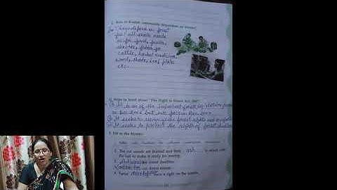 Chapter-20 Whose Forests? (E.V.S.) Class-5th APC Workbook Solutions explained in Hindi