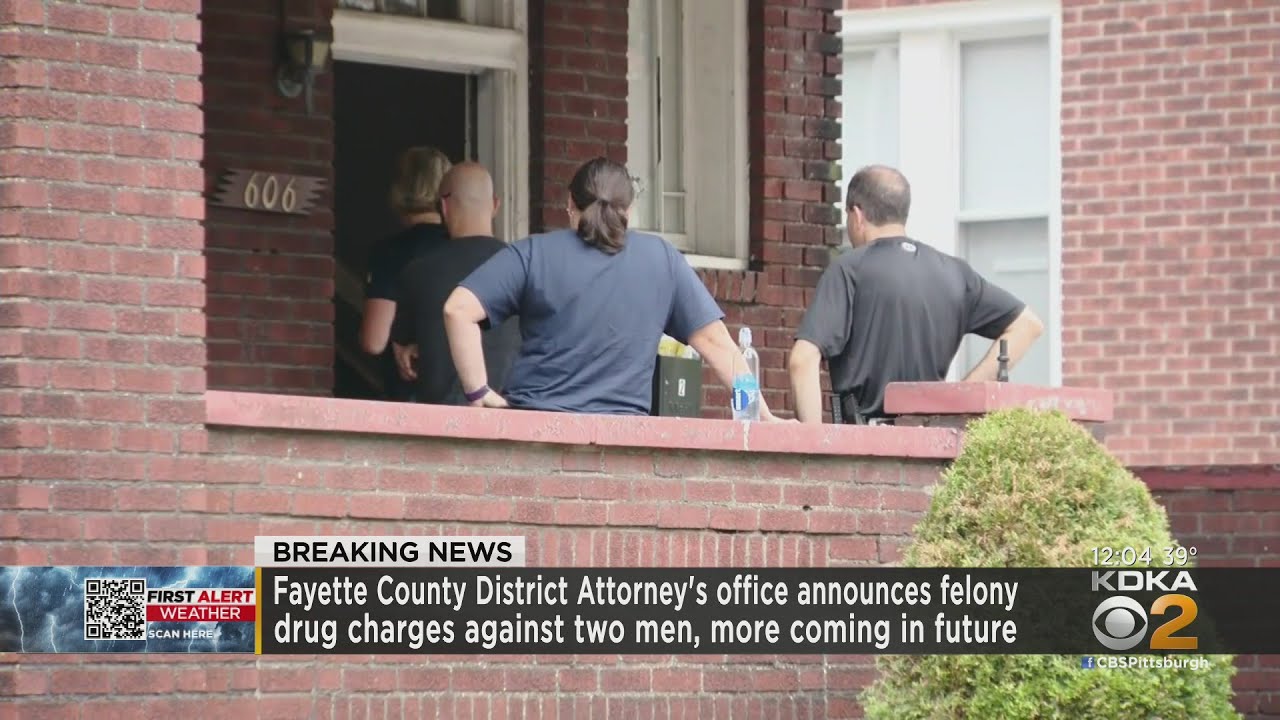 2 Michigan men face drug charges after search in Fayette County - YouTube