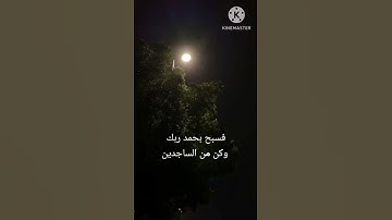 ولقد نعلم انك يضيق صدرك بما يقولون🌸 أيات من سورة الحجر🌸 القأرئ اسلام صبحي