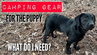 Gear for the Puppy