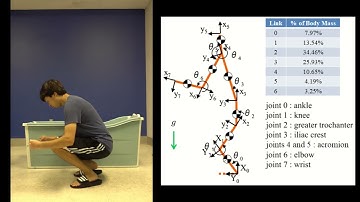 Handle Anywhere: A Mobile Robot Arm for Providing Bodily Support to Elderly Persons