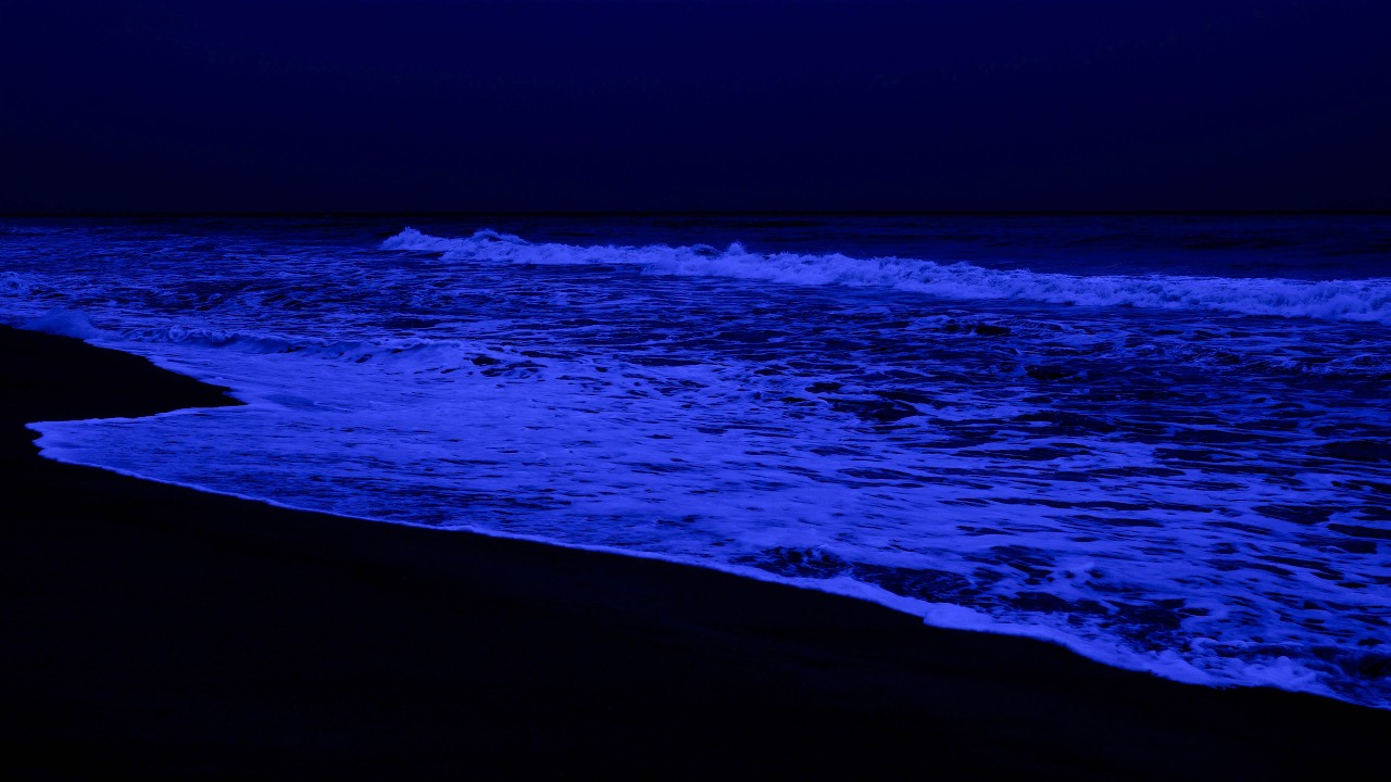 Глубочайшее исцеление: звуки океана, регенерация всего тела, снятие стресса и тревоги.