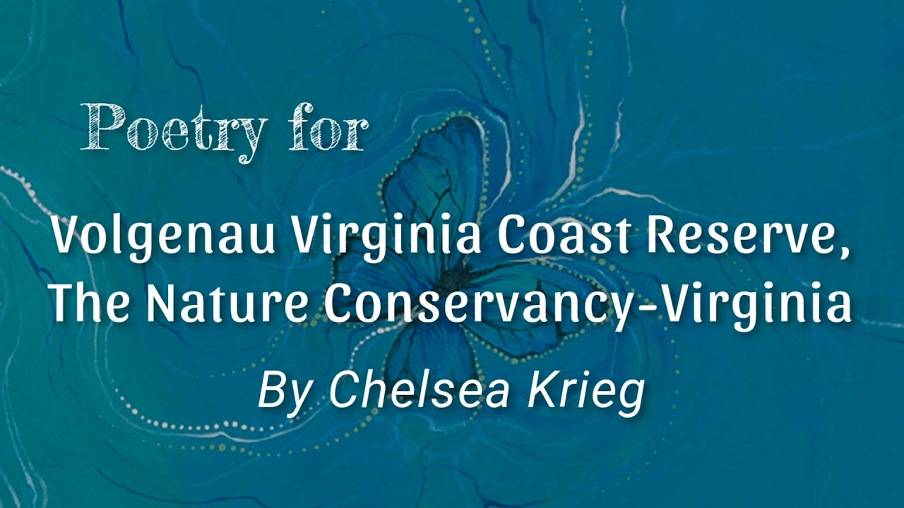 Writing the Land: Chelsea Krieg reads a poem for The Nature Conservancy ...