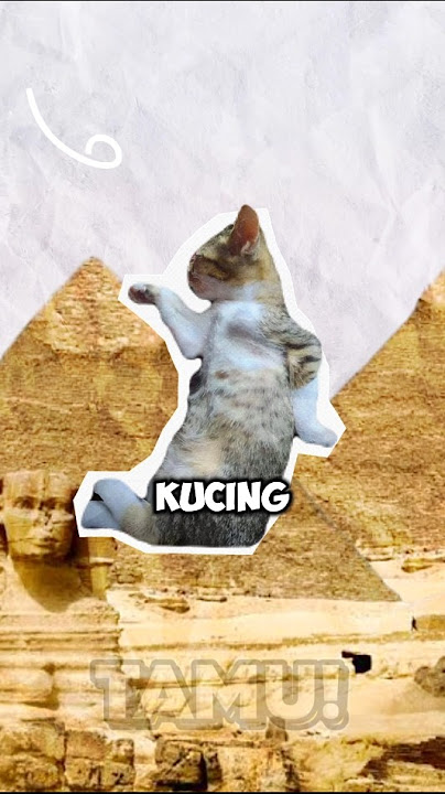 Cuma gara-gara kucing... Mesir bisa kalah perang⁉️🐱