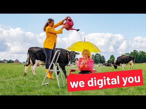 Van branding tot strategie en slimme webapps tot zichtbare campagnes: wij regelen het | Wefabric