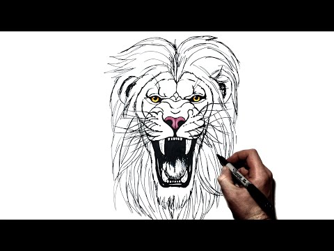 The Lion Roar (Pencil Sketch) - Naveen Veera - Paintings & Prints, Animals,  Birds, & Fish, Wild Cats, African Lion - ArtPal