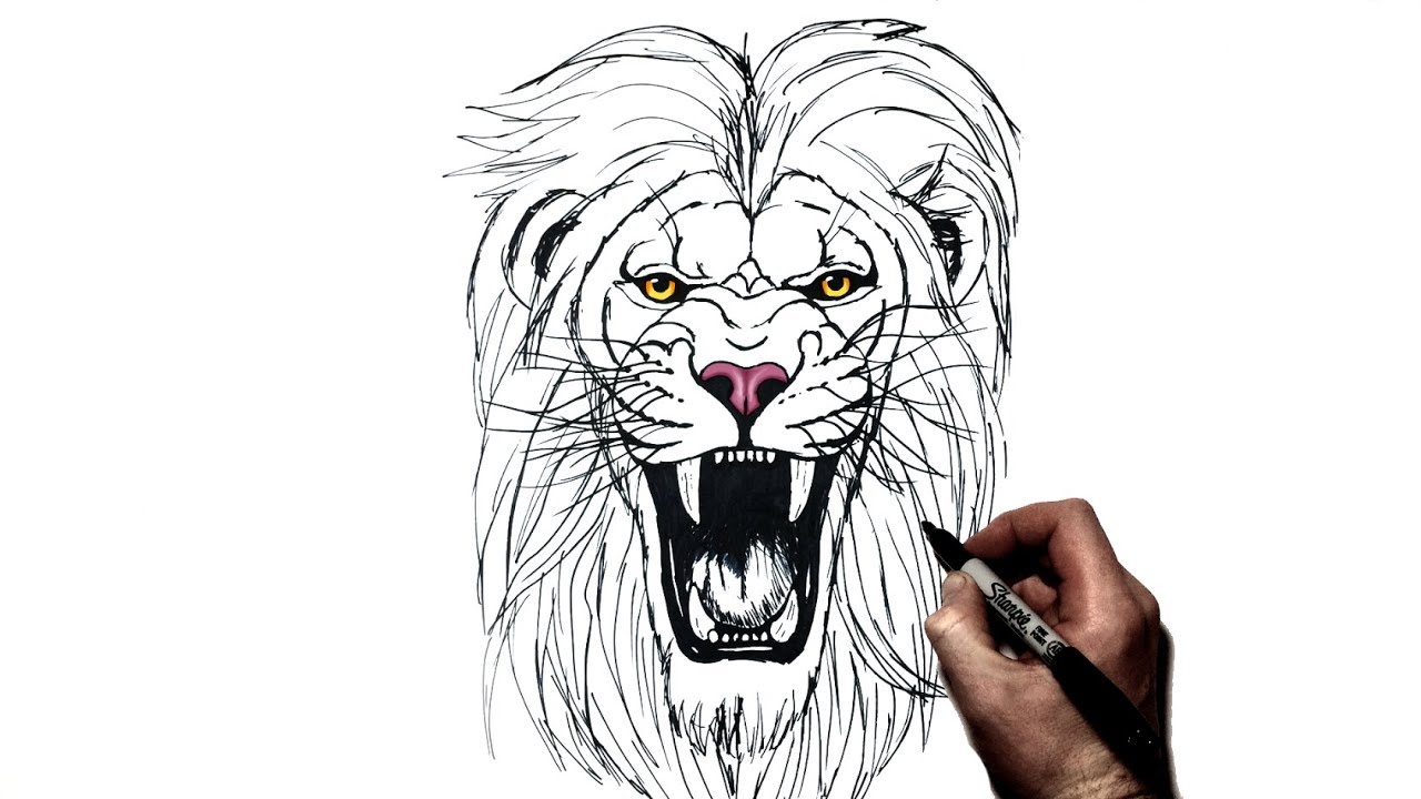How To Draw a Lion (Roaring) | Step By Step - YouTube