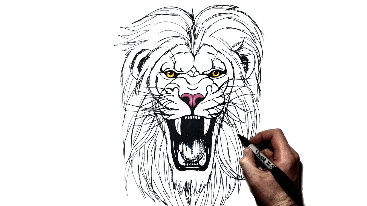 drawings of lions roaring in color