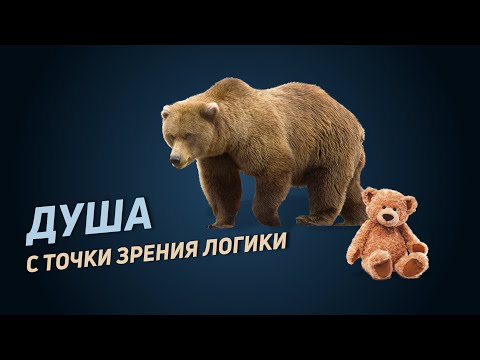 Видео: Душа. Понятие и представяне на душата - Алтернативен изглед