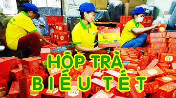 Hộp trà biếu tết, Hộp trà biếu cao cấp | Chè Tân Cương Thái Nguyên