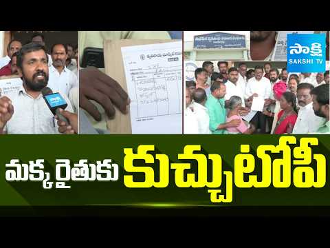 మక్క రైతుకు కుచ్చుటోపీ | Problems Of Maize Farmers | Mahabubnagar | Sakshi TV - SAKSHITV