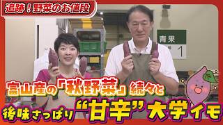 Autumn Has Arrived at the Market: Chestnuts, Pears, and Japanese Ginger In Stock! Making Candied ... 伊那のまゆはまずい 噂の真相と2026最新の販売店 通販お取り寄せ