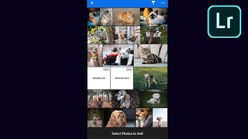 How To Import a Preset (.DNG) Into Your Adobe Lightroom Mobile Phone App