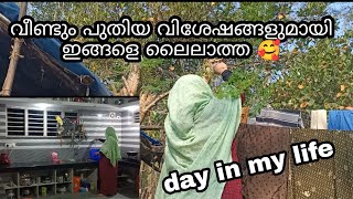 ലൈലാത്താന്റെ വിശേഷങ്ങൾ 🥰 a day in my life Malappuram kitchen