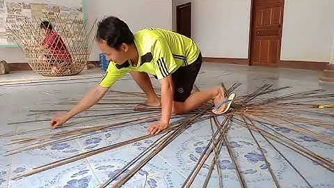 qhia kawm hiab tawb khwb qaib tim 12 /3/2022