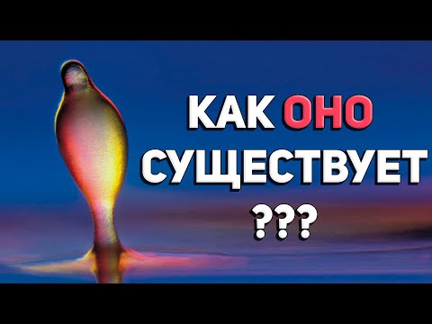 Почему амебы живут в социуме?