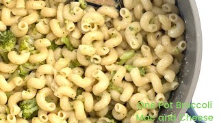 One Pot Broccoli Mac and Cheese | Easy, Meatless, One Pot Dinner Recipe