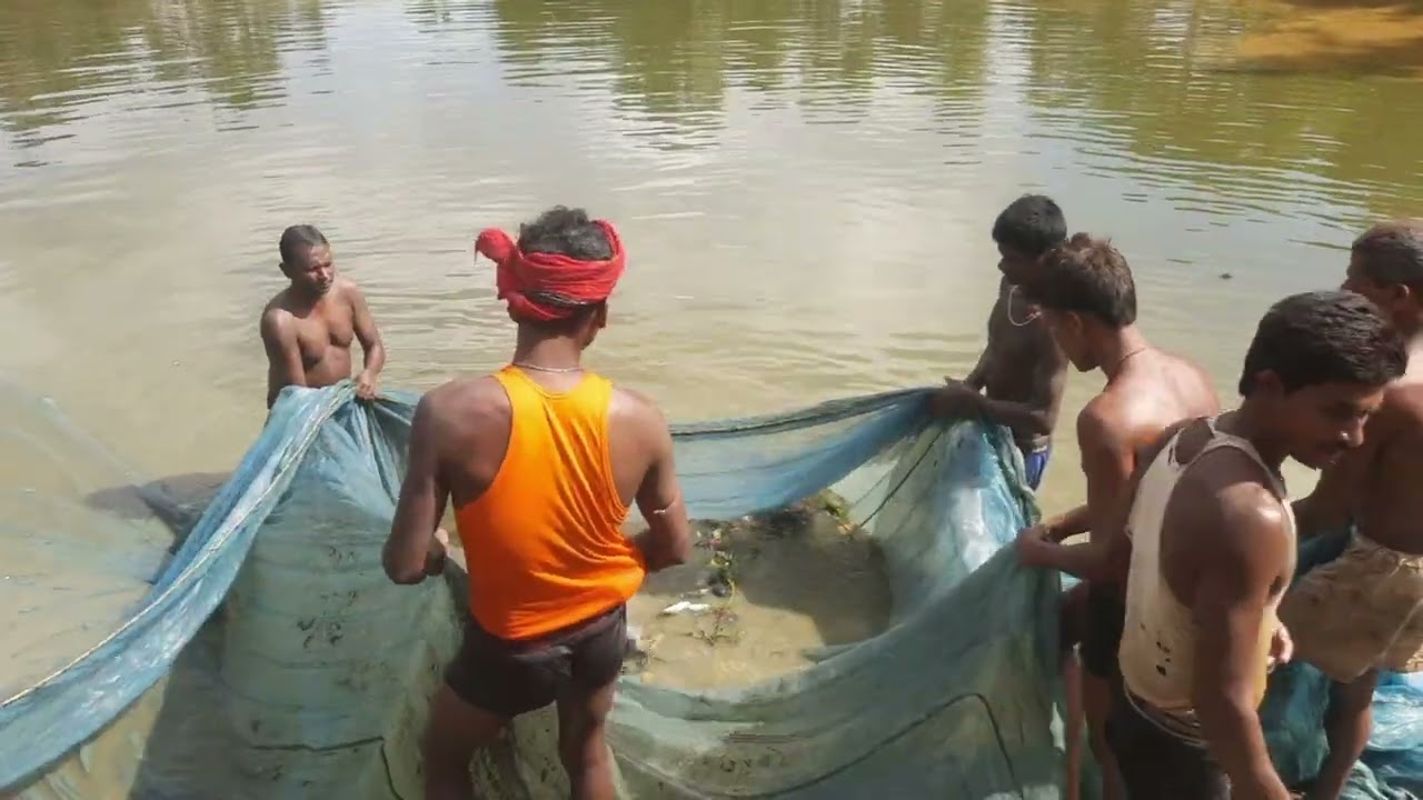 गांव के पोखैर में माछ मारल गेल 😆😍#viralvideo #fishcatching #darbhangamithila #fishing #motivation 
