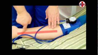 Instructional Video for Measuring Blood Pressure CNA Skill