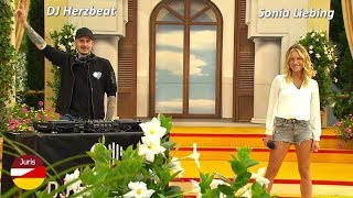 DJ Herzbeat feat. Sonia Liebing - Maybe (Immer wieder sonntags 14.06.2020)