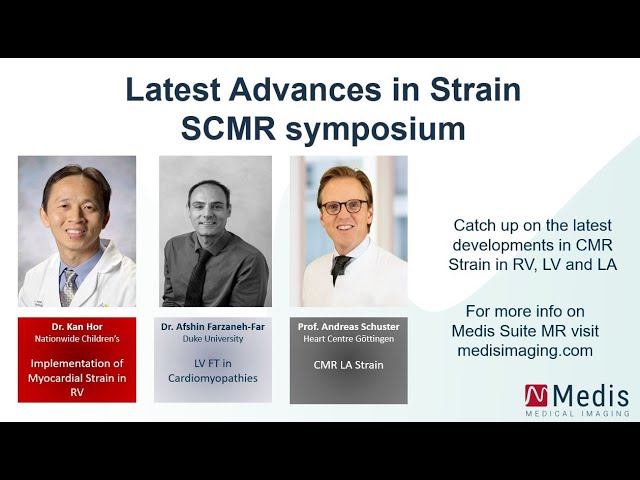 LV Strain - medisimaging