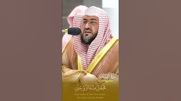 "أَيَحْسَبُ الْإِنسَانُ أن يُتْرَكَ سُدًى" تلاوة بديعة خاشعة لخواتيم سورة القيامة - الشيخ بندر بليلة
