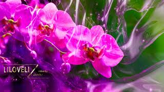 Fantasy Flower - Best Ambient Music. Instrumental Music. Beautiful Relaxing.