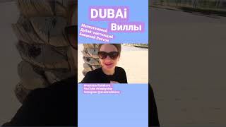 Малоэтажный Дубай #dubai #дубай #business #stepbystep #бизнес #шагивбизнес