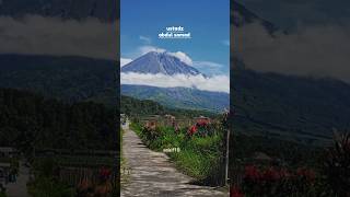 Penyakit Hasad #viral #uas #katabijak #shorts #islam #religion #motivasi
