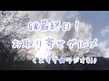 #10 GW最終日！お取り寄せグルメをご紹介