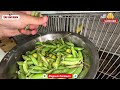 Today's Special Treat: Peas and Ber for my Parrot