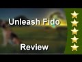 Jacksonville Beach, Florida Dog Trainer Expert & Puppy Training Services | Unleash Fido Jacksonville Beach, Florida Dog Trainer Expert & Puppy Training Services | Unleash Fido