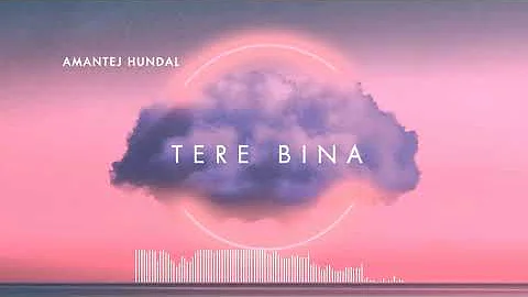 Tere Bina - Amantej Hundal x DAVSTxK (Slowed + Reverb) - LoFi REFIX