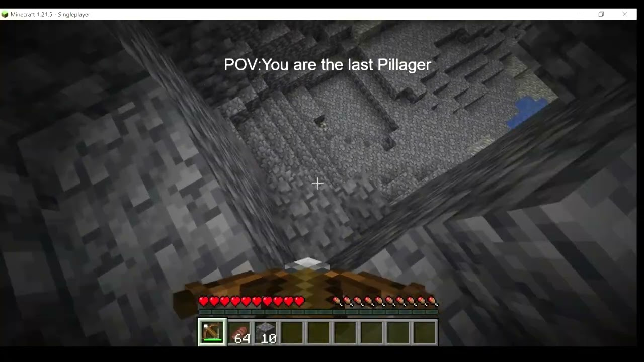 Last Pillager be like