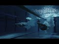 Middle of video