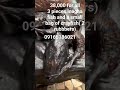 sweet Inagha fish 3 pieces and 1 bag of iron Crayfish that contains 2 rubbbers going for 38,000.