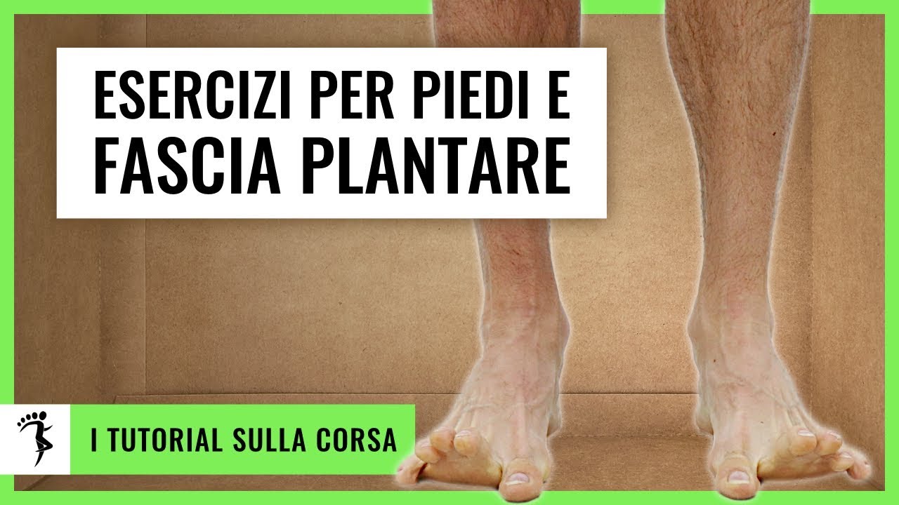 plantari si possono scaricare