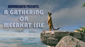 FlowScape Animation: Gathering on Meerkat Isle