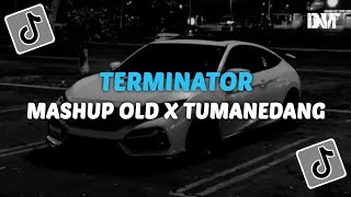 DJ TERMINATOR X MASHUP OLD X TUMANEDANG VIRAL TIKTOK