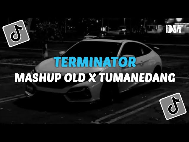 DJ TERMINATOR X MASHUP OLD X TUMANEDANG VIRAL TIKTOK class=