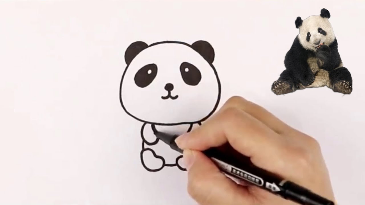 Hướng Dẫn Vẽ Con Gấu Trúc - How To Draw A Panda - Youtube