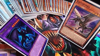 I upgraded Dino to be a POWERFUL top tier Yugioh deck! |Post Maze of Millennia